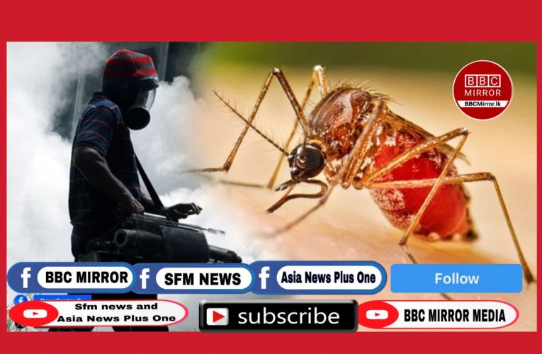 ඩෙංගු මර්දන සතිය හෙට සිට ආරම්භ වෙයි