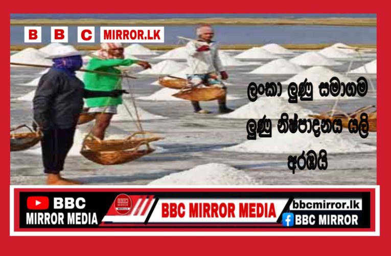 ලංකා ලුණු සමාගම හම්බන්තොට ලුණු නිෂ්පාදනය යළි අරඹයි BBCMirror.lk .   CNN-Mirror.com ‘ asianewsplusone.com   sfmnewslk.com