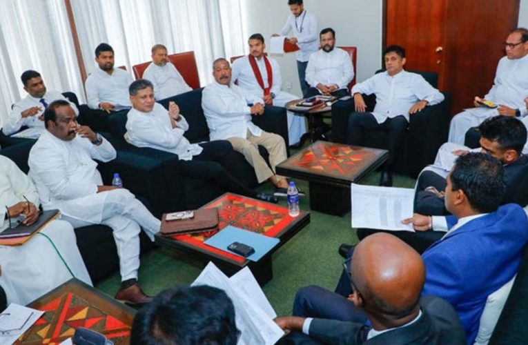 ප්‍රධාන විපකෂය නැති රැස්විමක් BBCMirror.lk .   CNN-Mirror.com ‘ asianewsplusone.com   sfmnewslk.com