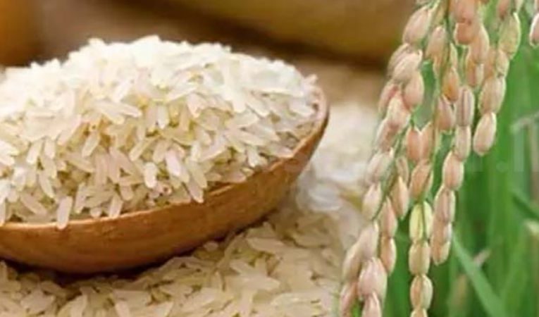කීරි සම්බා මෙට්‍රික්ටොන් 40,000ක් ගේන්න රජය සූදානම් අවශ්යතවයක් වුනොත් BBCMirror.lk .   CNN-Mirror.com ‘ asianewsplusone.com   sfmnewslk.com