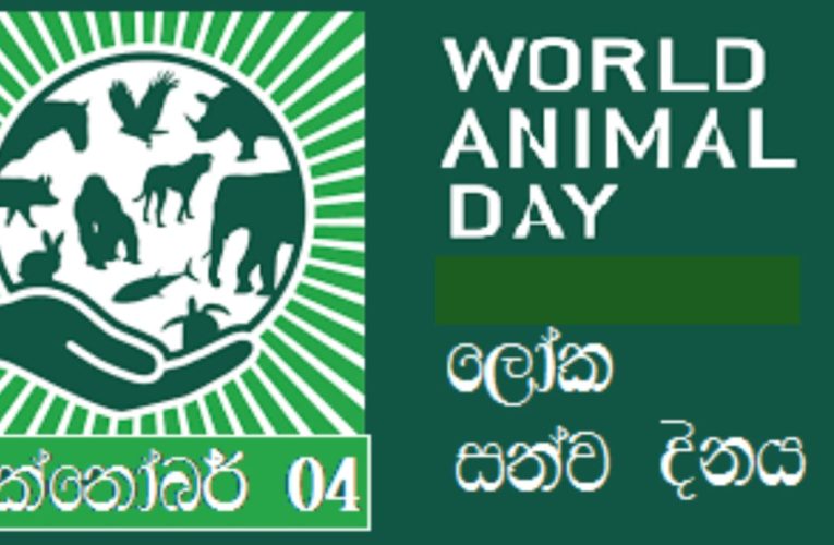 අද ලෝක සත්ත්ව දිනය (World Animal Day) BBCMirror.lk .   CNN-Mirror.com ‘ asianewsplusone.com   sfmnewslk.com මාධ්‍යවේදී  කොලින් හරිශ්චන්ද්‍ර