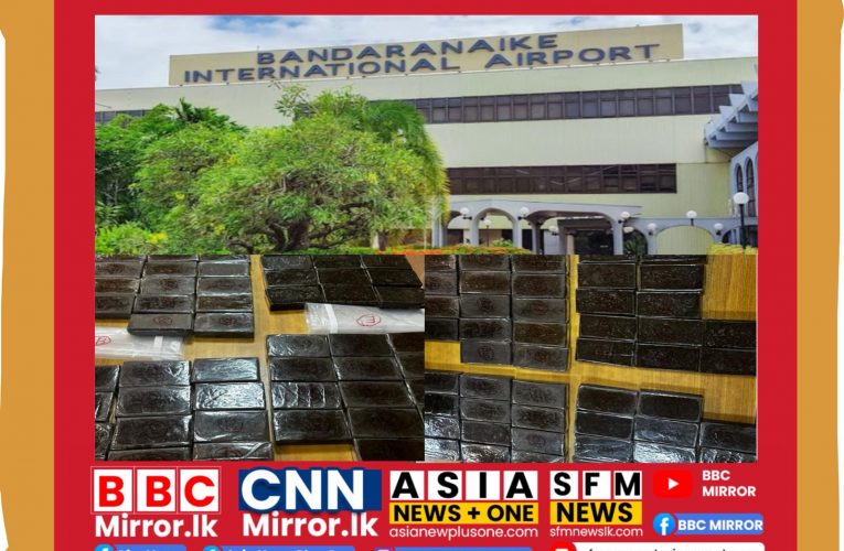 ක්‍රිෂ්ණා ඩී එදිරිසිංහ, කොළඹ. BBCMirror.lk .   CNNMirror.lk asianewsplusone.com   sfmnewslk.com