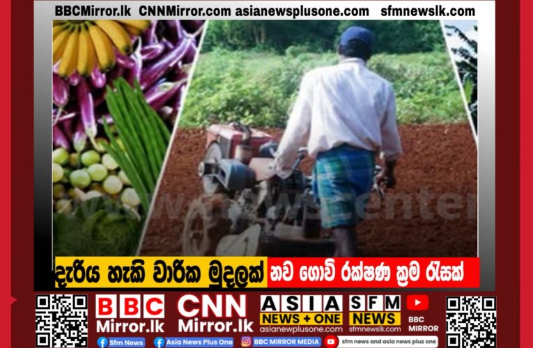 දැරිය හැකි වාරික මුදලක් යටතේ ගොවි රක්ෂණ ක්‍රම රැසක්  BBCMirror.lk .   CNN-Mirror.com ‘ asianewsplusone.com   sfmnewslk.com