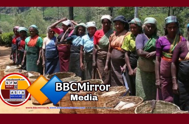 උතුම් ක්‍රියාවක් වතුකම්කරුවන් 21 ක් දිනෙක වැටුප  රජයේ ආපදා අරමුදලට පරිත්‍යාග කරති…!