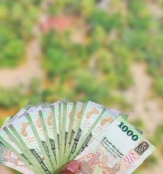 දිට්වා’ පොල් ගහකට රුපියල් 10,000ක වන්දියක්