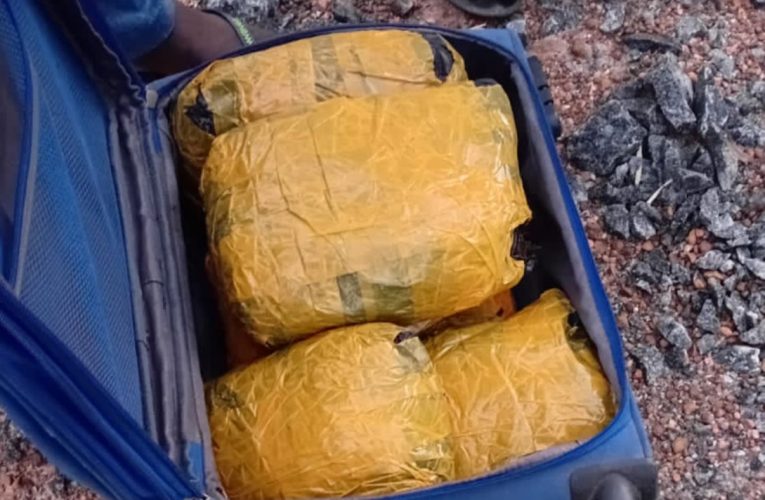 ලක්ෂ 100 කට අධික කේරළ ගංජා යාපනයේ ප්‍රදේශ කිහිපයකින් අත්අඩංගුවට.