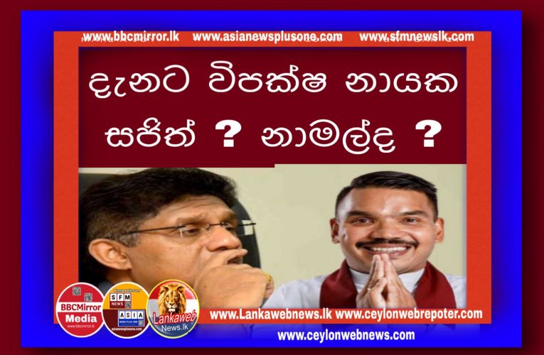 වර්තමාන පාර්ලිමෙන්තුවේ විපක්ෂයේ භූමිකාව ? මහාජන මතය