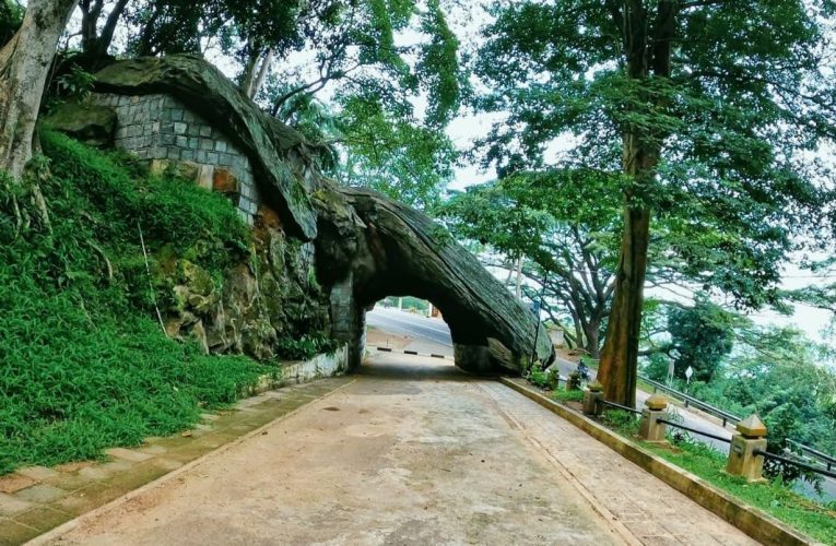 ස්වාභාවික සුන්දරත්වයේ රමණීය ගමන් මග සුන්දර කඩුගන්නාව