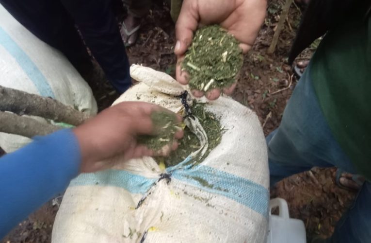 කෝටි එකහමාරකට ආසන්න වියලි ගංජා අත්අඩංගුවට.