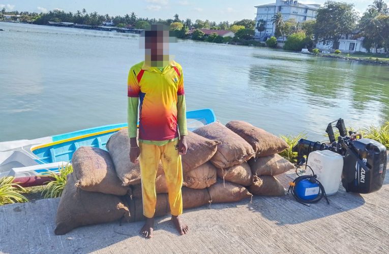 මුහුදු කූඩැල්ලන් ප්‍රවාහනය කළ පුද්ගලයෙකු කල්පිටියේදී දැලේ.