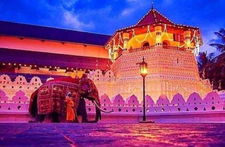 ශ්‍රී දළදා මාළිගාවේ පුස්තකාලය, බෞද්ධ ග්‍රන්ථවල පැරණිතම එකතුව වන ත්‍රිපිටකය ඩිජිටල්කරණය කිරීමේ ව්‍යාපෘතියක් දියත් කර ඇත.