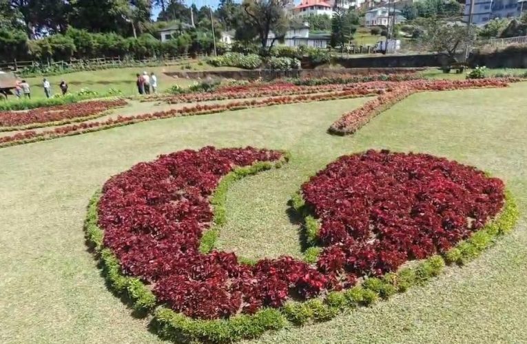 2026 බක් මහේ කෝකිල වසන්තයට සැරසෙන සුන්දර නුවරඑළිය.