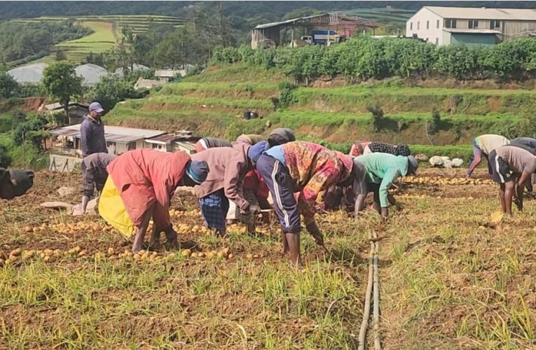 කෘෂි ඇමති ලාල්කාන්ත එන්න කියනවනම් අපි වීදි සටන්වලට ලෑස්ති එන්න හැප්පිලා බලමු නුවරඑළිය ගොවි සංවිධානයෙන් රජයට අභියෝගයක්