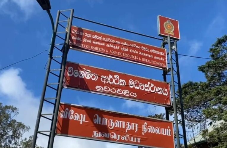 නුවරඑළිය ආර්ථික මධ්‍යස්ථානයේ මිල මාෆියාවක්