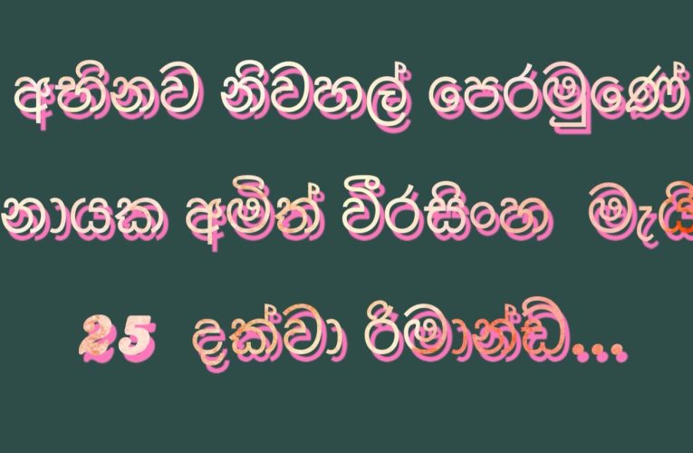 අභිනව නිවහල් පෙරමුණේ  නායක අමිත් වීරසිංහ මහතා  මැයි  25  දක්වා රිමාන්ඩ්…