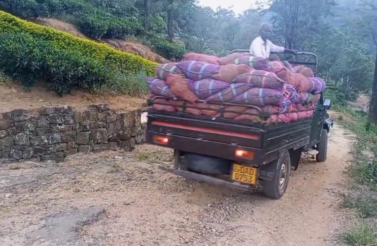 පාර හදලා දෙන්නම් කියා බොරු ඡන්ද පොරොන්දු දුන් අධ්‍යාපන නියෝජ්‍ය ඇමතිට සමච්චල් කරමින් ගමට ආරාධනා කළ රාගල උඩපුස්සැල්ලාව හොල්ඩිමාර් ජනතාව .