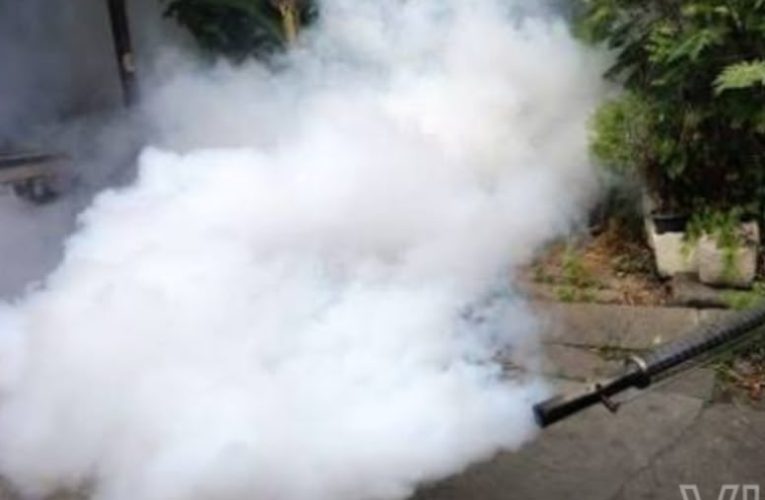 ඩෙංගු දූමායනයෙන් පරිසරයටත් අවදානමක්  කීට විද්‍යා නිලධාරීන්ගෙන් අනතුරු ඇඟවීම