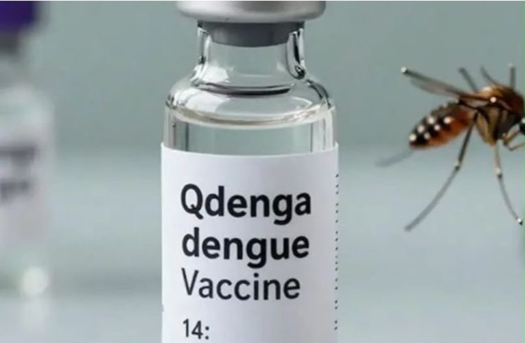 ඉන්දියාව සිය පළමු ඩෙංගු එන්නත අනුමත කර ගෙන තිබේ.