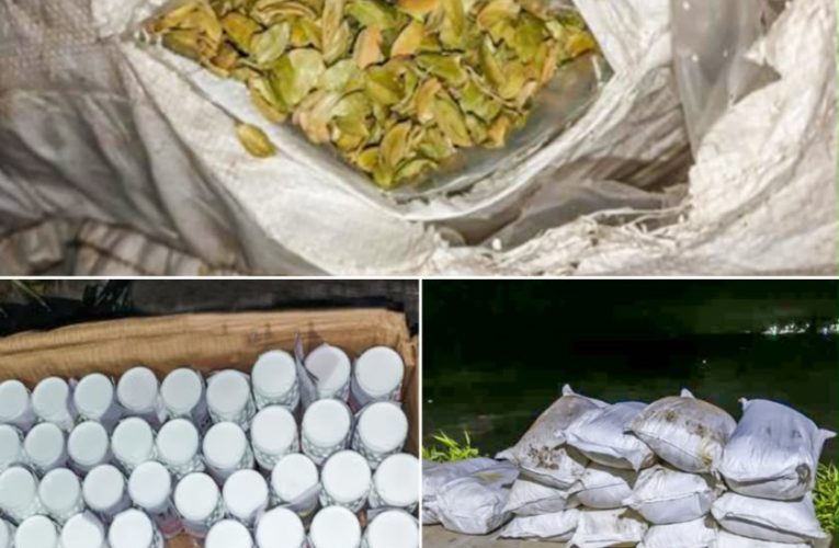 නීති විරෝධී ලෙස මුහුදු මගින් ගෙන ආ කුළුබඩු කෘමිනාශක නාවික හමුදා භාරයට.