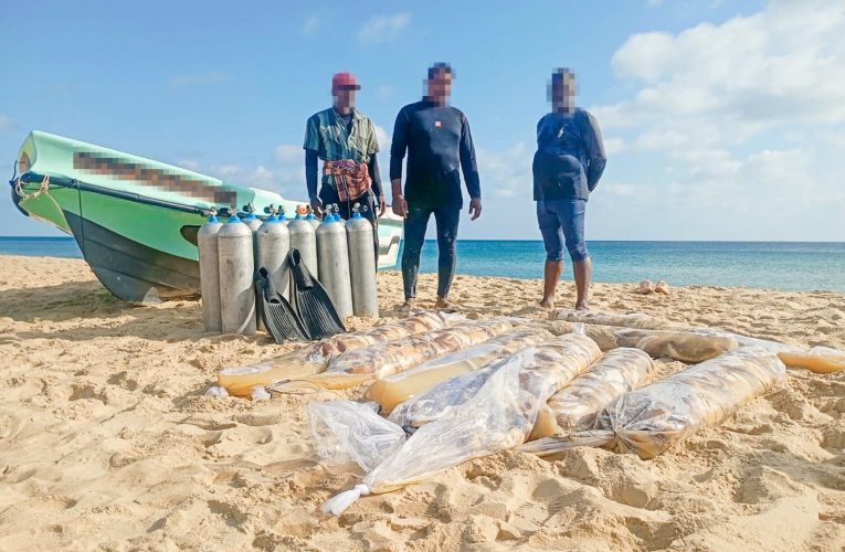 මුහුදු කූඩැල්ලන් සමග 03 ක් යාපනයේ දී නාවික හමුදා භාරයට.