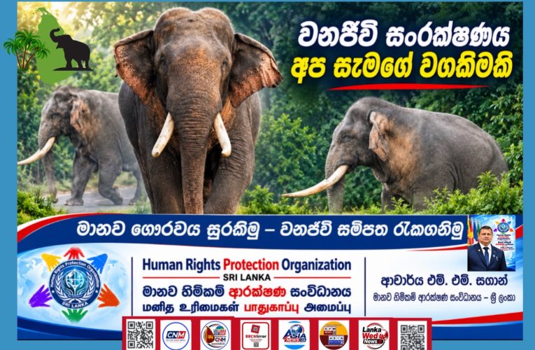 කාවන් තිස්ස ඇතාගේ මරණය අපට දෙන පාඩම: අලි සම්පත රැකගැනීමට විධිමත් ජාතික වැඩපිළිවෙළක් අවශ්‍යයි | The Death of Kawantissa the Elephant: A Lesson for Us All — A Comprehensive National Programme Is Needed to Protect Sri Lanka’s Elephant Population | கவன் திஸ்ஸ யானையின் மரணம் எமக்குக் கற்பிக்கும் பாடம்: யானை வளத்தைப் பாதுகாக்க முறையான தேசிய வேலைத்திட்டம் அவசியம்