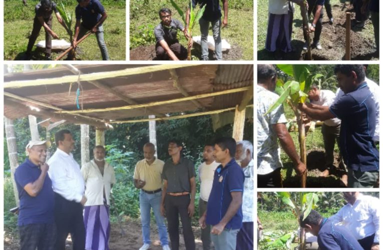 ගොවිජන සංවර්ධන දෙපාර්තමේන්තුවේ 69 වැනි සංවත්සරයට සමගාමීව ගුන්නෑපාන මඩිගේ පුරන් කුඹුරක කෙසෙල් වගා ව්‍යාපෘතියක් ඇරඹේ